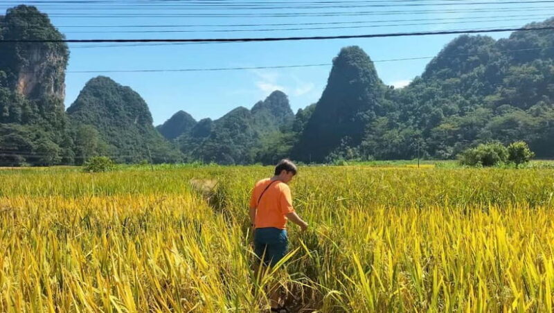 From Ha Noi: Cao Bang Loop Group Tour - Motorbike Tour 1 Day - The Experience Through the Lens of Reviews