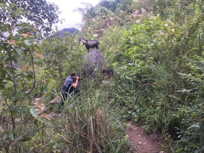 From Ha Noi: Cao Bang Loop Trekking Tour : 2 Day 1 Night - Key Points