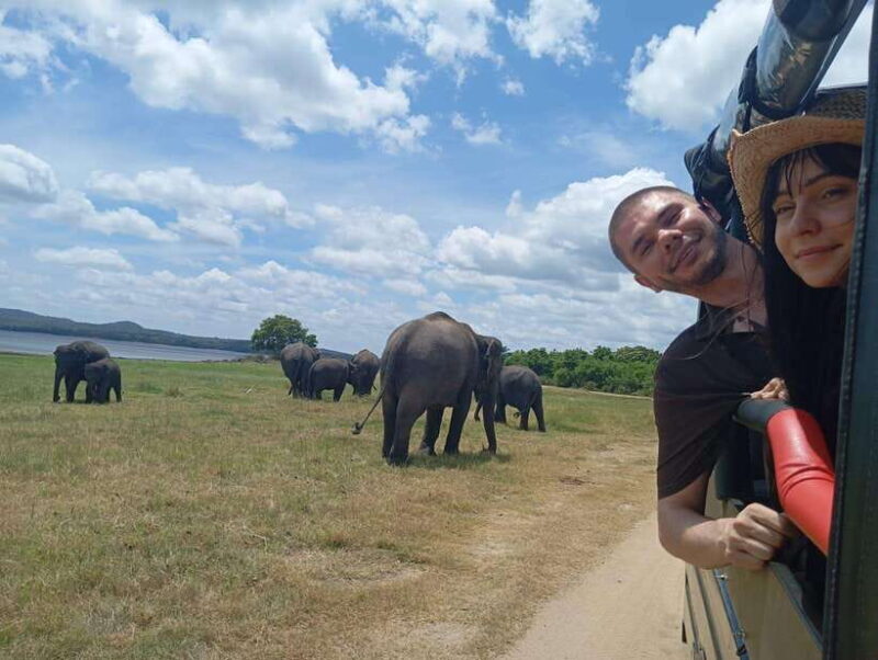 From Habarana: Minneriya National Park 4x4 Jeep Safari - An In-Depth Look at the Minneriya Safari Experience