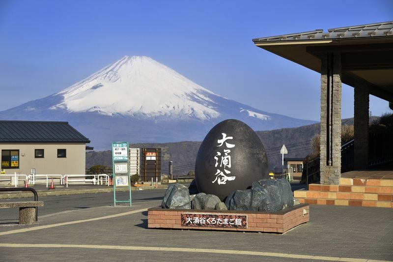 From Hakone or Lake Kawaguchiko: Mt. Fuji Area Connection Bus Tour - What round-trip travelers may see