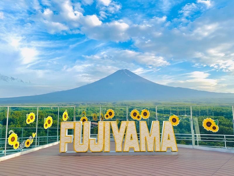 From Hakone or Lake Kawaguchiko: Mt. Fuji Area Connection Bus Tour - Is the fare worth it?