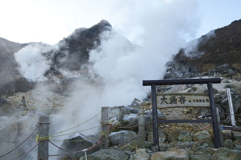 From Hakone or Lake Kawaguchiko: Mt. Fuji Area Connection Bus Tour - Who should book this bus tour?