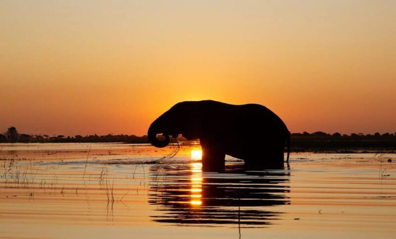 From Hambantota: Lunugamvehera National Park Wild Safari - FAQs