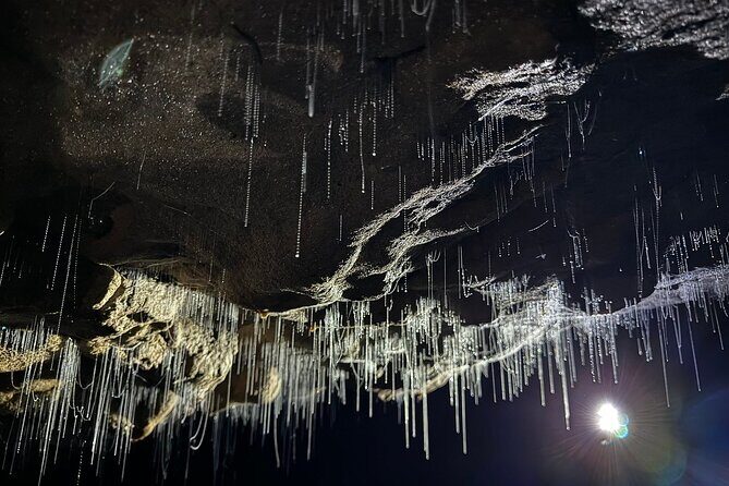 From Hamilton: Waitomo Glowworm & Cave Explorer Small Group Tour - Analyzing the Value