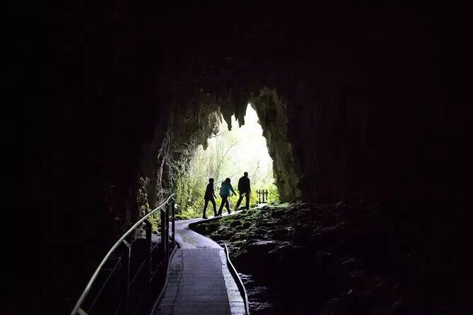 From Hamilton: Waitomo Glowworm & Cave Explorer Small Group Tour - Frequently Asked Questions