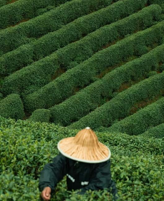 From Hangzhou: Longwu Tea Village, Longmen Town & Dam Tour - From Hangzhou: Longwu Tea Village, Longmen Town & Dam Tour — A Detailed Look