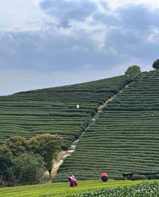 From Hangzhou: Longwu Tea Village, Longmen Town & Dam Tour - Final Thoughts