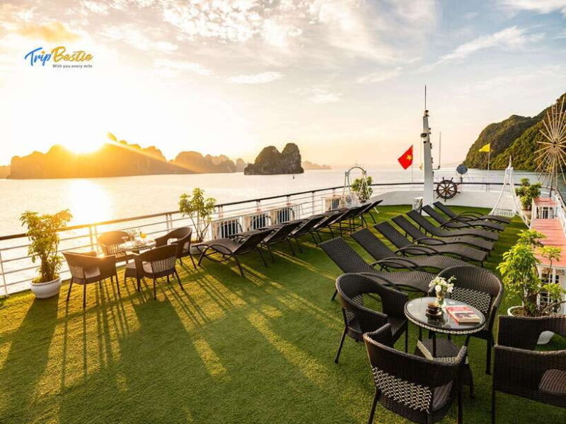 From Hanoi: 1 Day Ha Long Bay Luxury Cruise With Buffet - Transportation & Comfort