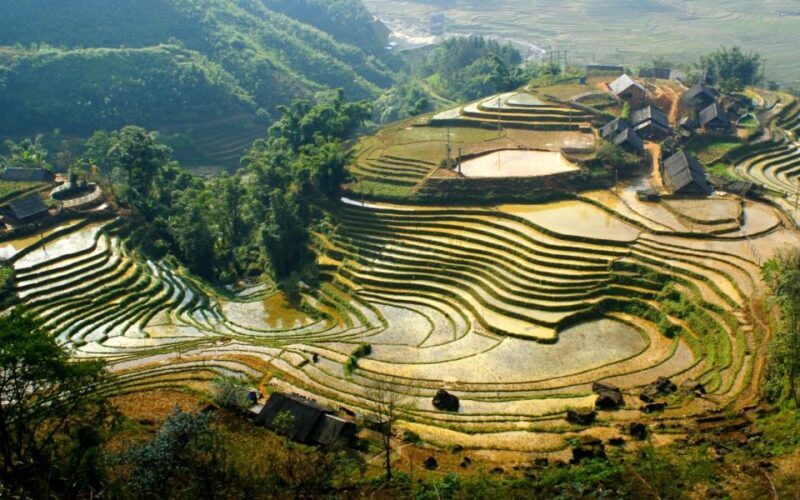 From Hanoi: 2-Day Sapa Cultural Exchange Tour with Homestay - What Makes This Tour Stand Out?