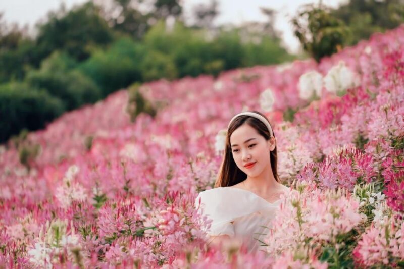 From Hanoi: 2-Day Sapa, Fansipan, and Muong Hoa Valley Tour - Key Points