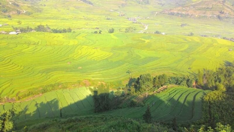 From Hanoi: 2 Day Sapa Trekking To Village & Bungalow, Meals - In-Depth Review of the 2-Day Sapa Trekking Tour