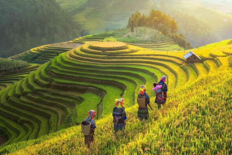 From Hanoi: 2-Day Sapa Trekking Tour (Sleep at hotel) - Key Points