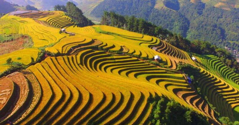 From Hanoi: 2-Day Sapa Trekking Tour (Sleep at hotel) - A Deep Dive into the Sapa 2-Day Trekking Tour