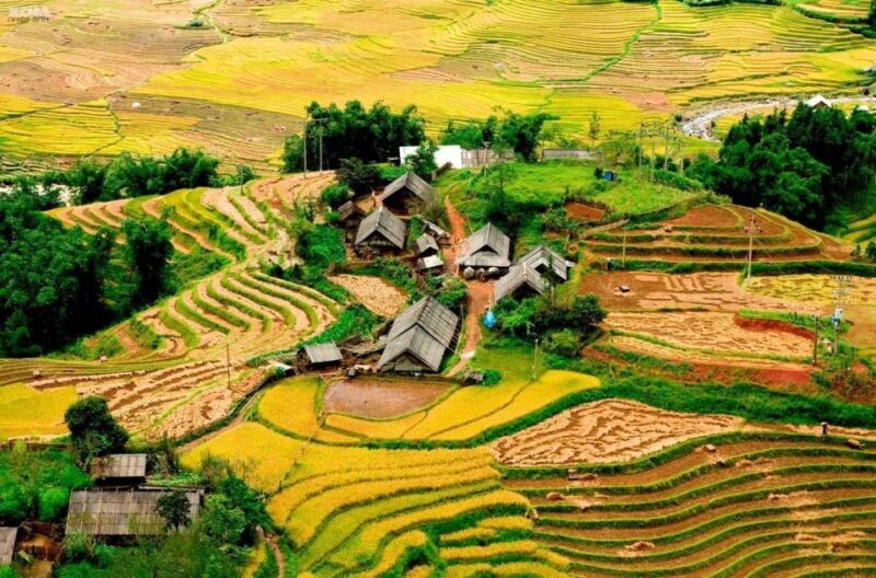 From Hanoi: 2-Day Sapa Trekking Trip with Homestay & Meals - The Experience in Detail