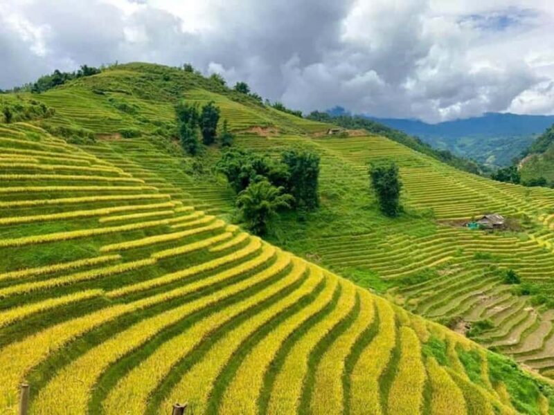 From Hanoi: 2-Days Sapa Trekking Tour Lao Chai and Cat Cat - The Sum Up: Who Will Love This Tour?