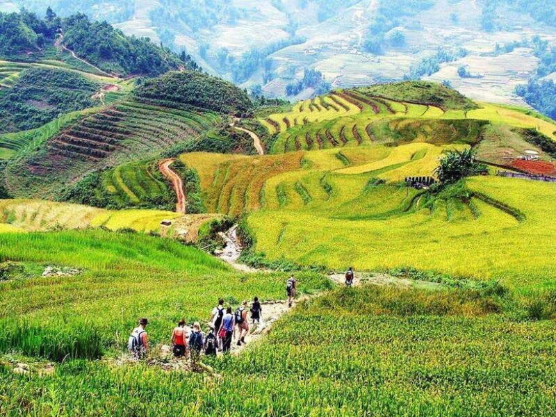 From Hanoi: 2-Days Trekking Sapa With Ethnic Minority Guide - What Makes This Tour Stand Out?