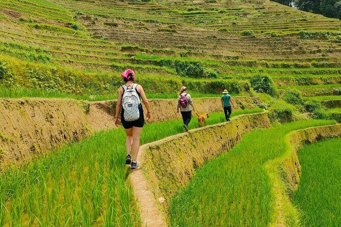 From Hanoi: 2D1N Mu Cang Chai Private Trekking & Homestay - Key Points