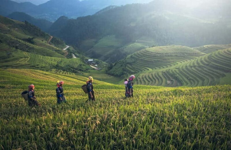 From Hanoi: 3-Day Mu Cang Chai & Chao Khau Village Tour - The Sum Up