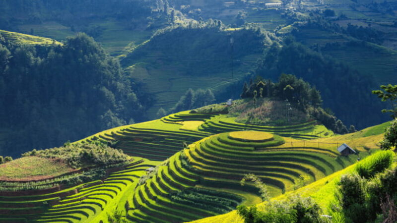 From Hanoi: 3-Day Sapa - Bac Ha Market Trekking Tour - FAQ