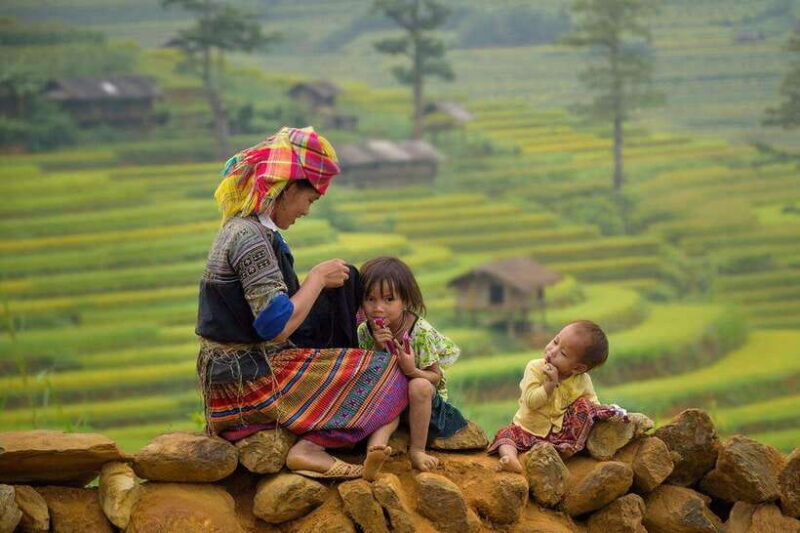 From Hanoi: 3-Day Sapa, Fansipan, Ninh Binh Tour with Meals - An In-Depth Look at the 3-Day Hanoi to Sapa, Fansipan, and Ninh Binh Tour