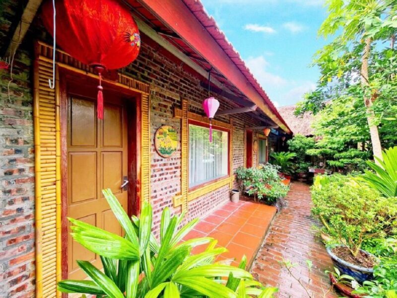 From Hanoi: 3-Day Trip to Ninh Binh with Ha Long Bay Cruise - Who Is This Tour Best For?