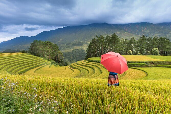 From Hanoi: 3 Days Sapa Trekking & Ethnic Villages by Dcar - FAQ