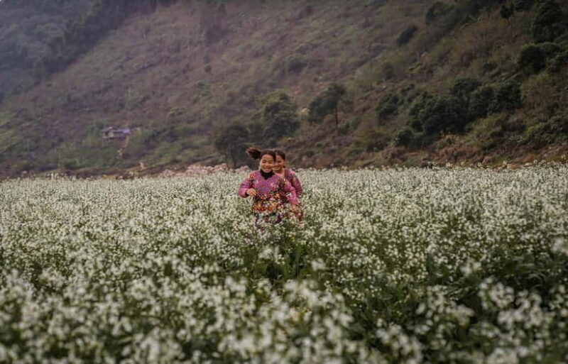 From Hanoi: 4-Day Moc Chau Tea Plantation and Waterfall Tour - Key Points