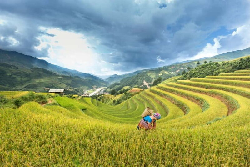 From Hanoi: 4-Day Mu Cang Chai Terraced Rice Fields Tour - Exploring the Mu Cang Chai Experience: A Deep Dive