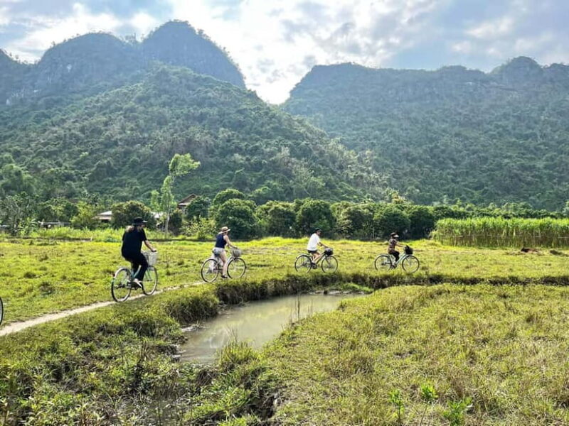 From Hanoi/Cat Ba: Lan Ha Bay Day Trip with Cruise and Lunch - From Hanoi/Cat Ba: Lan Ha Bay Day Trip with Cruise and Lunch