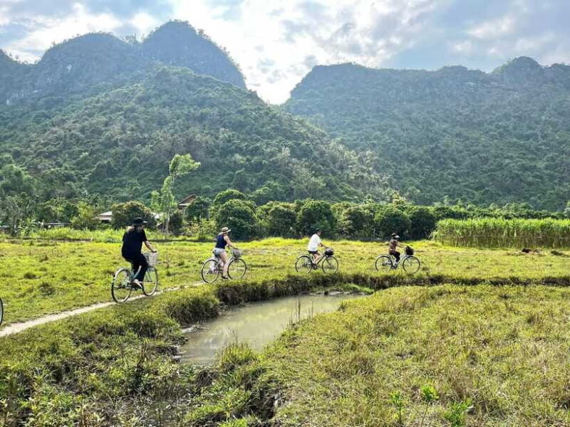 From Hanoi/Cat Ba: Lan Ha Bay Day Trip with Cruise and Lunch - Who Will Love This Tour?