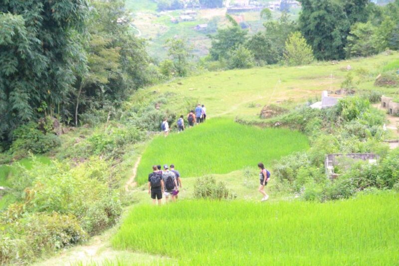 From Hanoi: Discover Sapa 2-Day 1-Night Trekking Adventure - A Deep Dive Into the Sapa Trekking Experience
