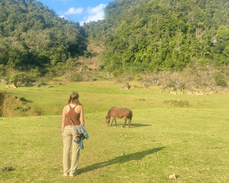 From Hanoi: Easy Rider 2 Day Motorbike Tour of Cao Bang Loop - Who Should Consider This Tour?