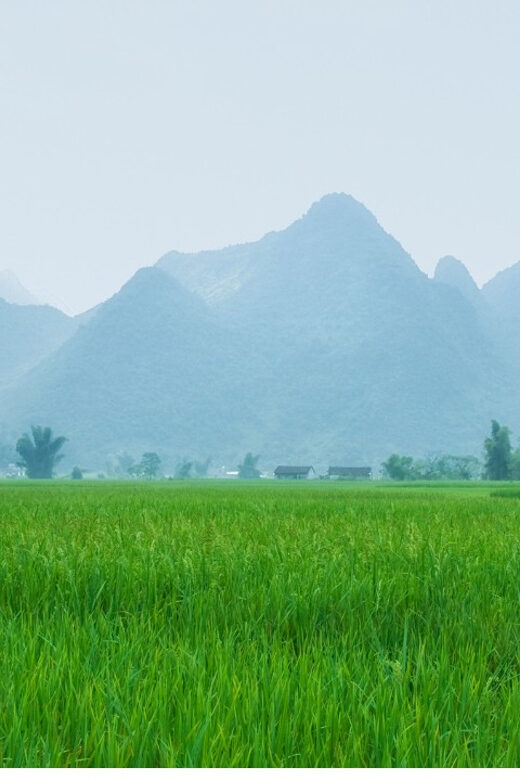 From Hanoi: Easy Rider 2 Day Motorbike Tour of Cao Bang Loop - FAQ