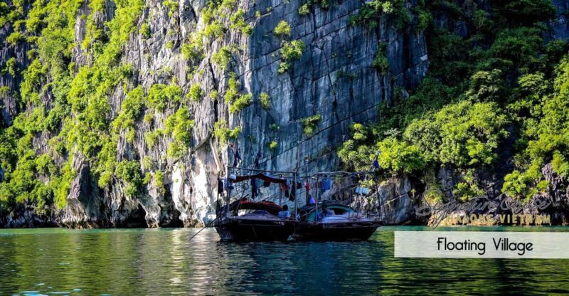 From Hanoi: Explore Cat Ba Islands In 1 Day - From Hanoi: Explore Cat Ba Islands In 1 Day – A Detailed Review