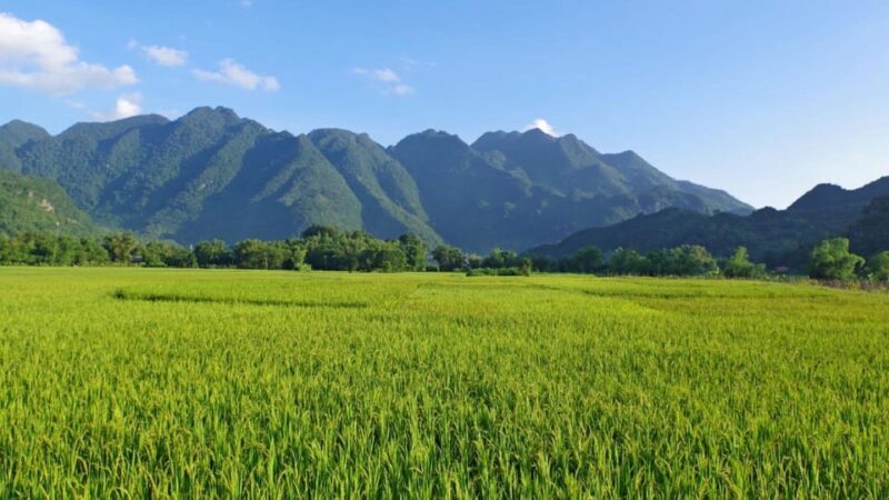 From Hanoi: Explore Sapa & Fansipan For 2 Days 1 Nights - Who Will Love This Tour?