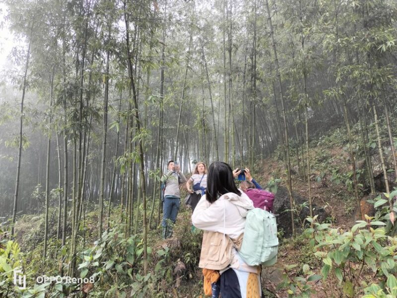 From Hanoi: Guided 2-Day Tour of Sa Pa with Lunch & Dinner - FAQ