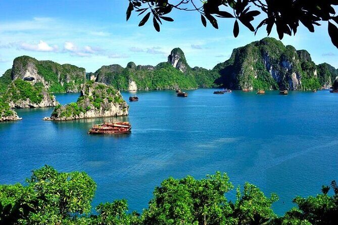 From Hanoi: Ha Long Bay Day tour 4-Star with Kayaking - A Detailed Look at the Tour