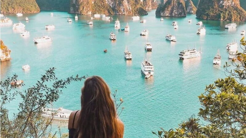 From Hanoi: Ha Long Bay Luxury Day Trip with Kayaking &Titop - Key Points