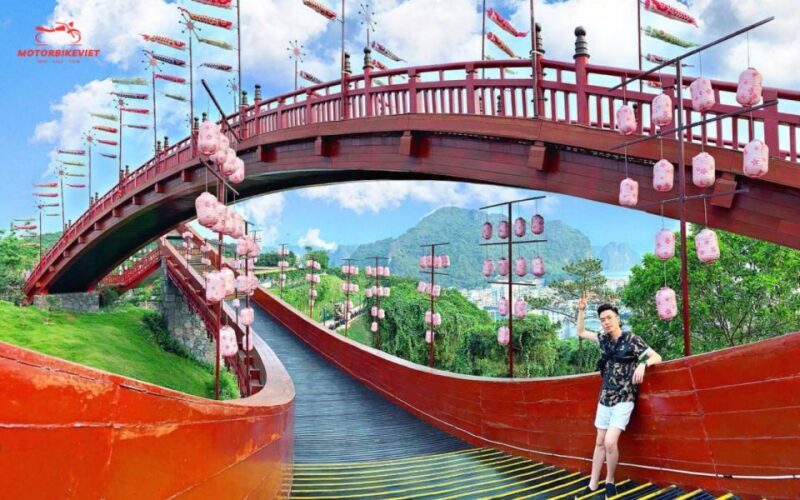 From Hanoi: Halong Bay 1 day tour on a luxury cruise - From Hanoi: Halong Bay 1 Day Tour on a Luxury Cruise