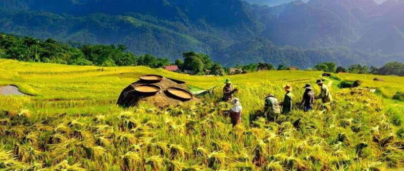 From Hanoi: Mai Chau, Pu Luong, Ninh Binh 3-Day Tour - Exploring the 3-Day Itinerary