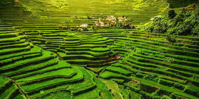 From Hanoi: Mai Chau Valley 2-Day Tour with Homestay - FAQ