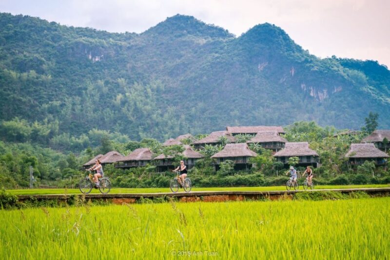 From Hanoi: Mai Chau Valley & Hill Tribes 2-Day Trek Tour - An In-Depth Look at the Mai Chau Trek Experience