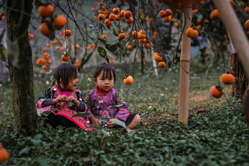 From Hanoi: Moc Chau 3-Day Guided Tour - Day 2: Nature and Cultural Treasures