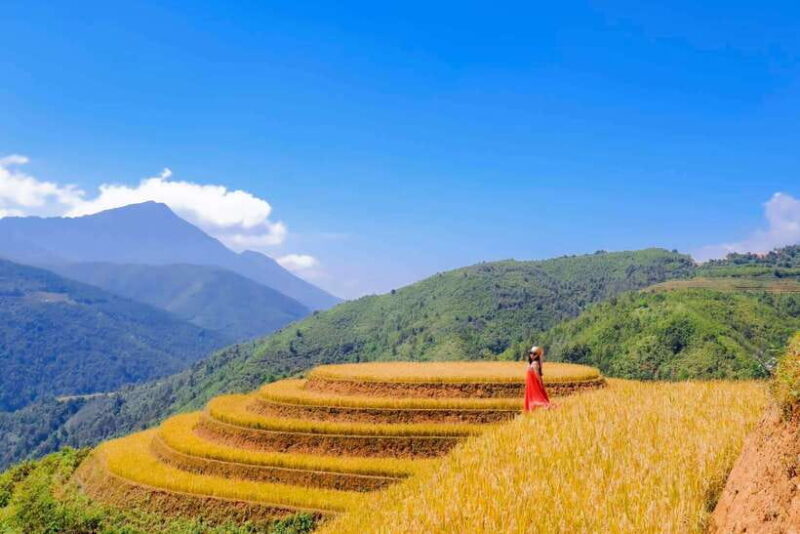 From Hanoi: Mu Cang Chai 3D2N trekking with local people - Practical Tips for Your Trip