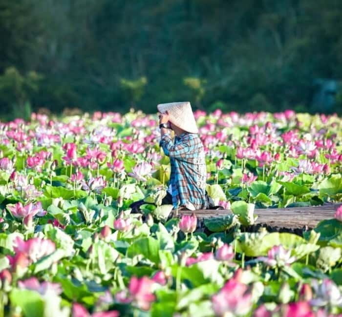 From Hanoi: Ninh Binh Bai Dinh or Hoa Lu, Trang An, Mua Cave - FAQs