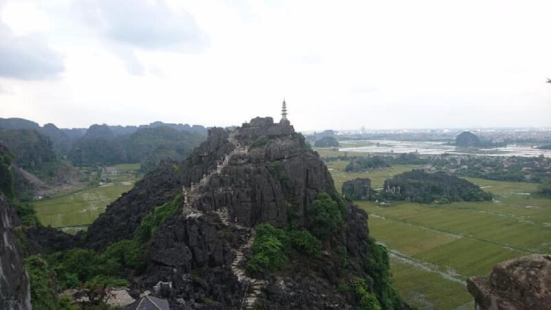 From Hanoi: Ninh Binh-Hoa Lu-Trang An-Mua-Cave-Buffet Lunch - A Deep Dive into the Experience