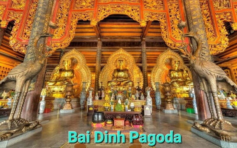 From Hanoi/NinhBinh: HoaLu-Bai Din- TrangAn- MuaCave-BichDon - Who Should Take This Tour?