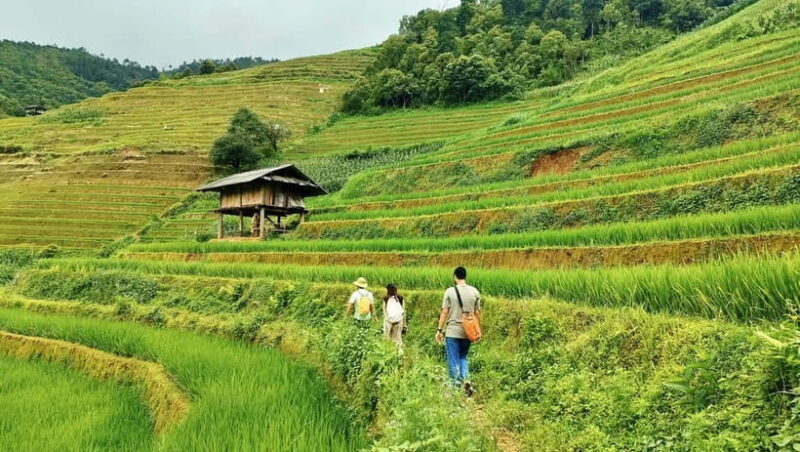 From Hanoi: Private 2-Day Mu Cang Chai Homestay & Trekking - From Hanoi: Private 2-Day Mu Cang Chai Homestay & Trekking