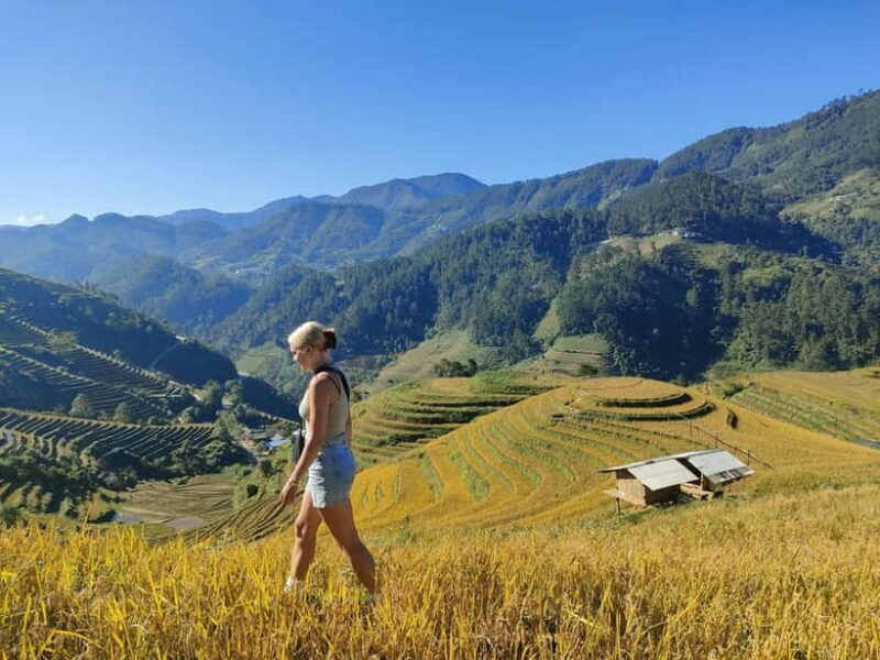 From Hanoi: Private 2-Day Mu Cang Chai Homestay & Trekking - Key Points