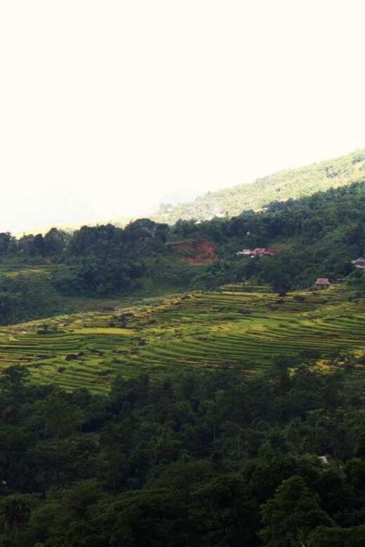 From HaNoi: Pu Luong 2 days journey to beautiful nature. - Transportation and Logistics